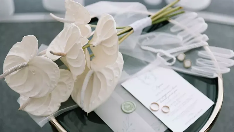 Lý do hoa tulip trắng thường được chọn làm hoa cưới, ý nghĩa và vẻ đẹp phù hợp